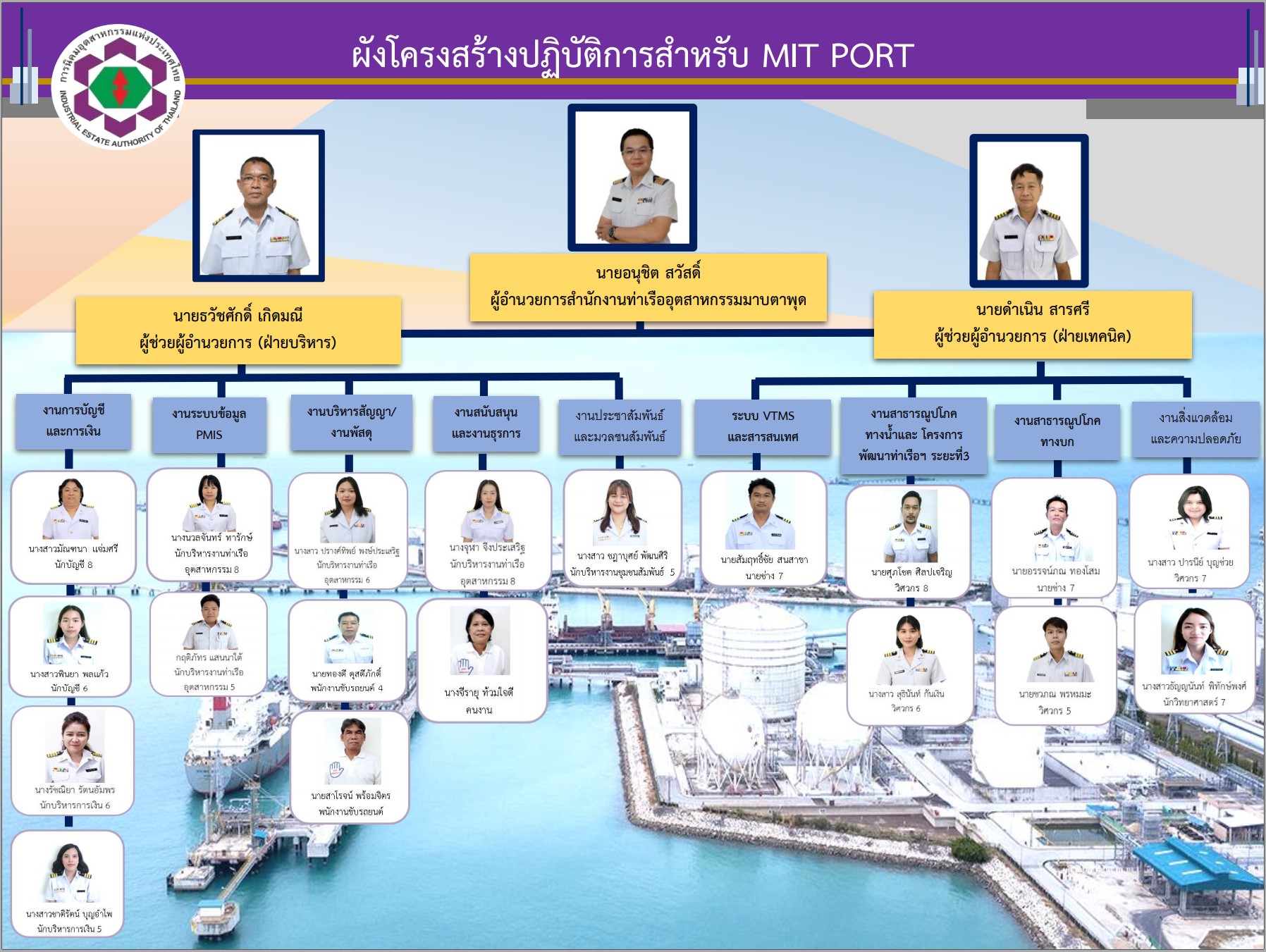 mit organize chart