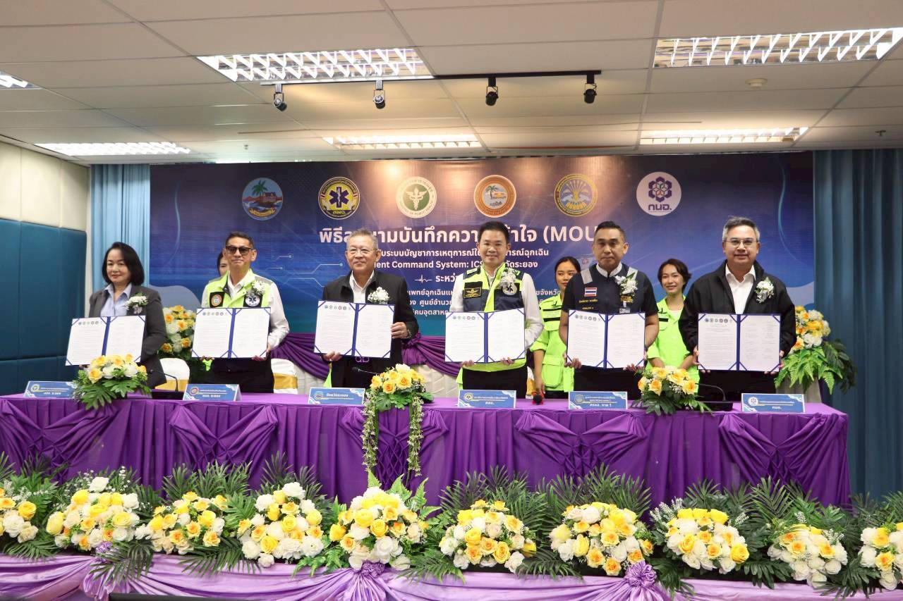 LINE ALBUM 3132026 260331 25 0